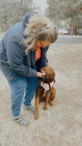 Shelter Volunteer – Humane Society Ruidoso